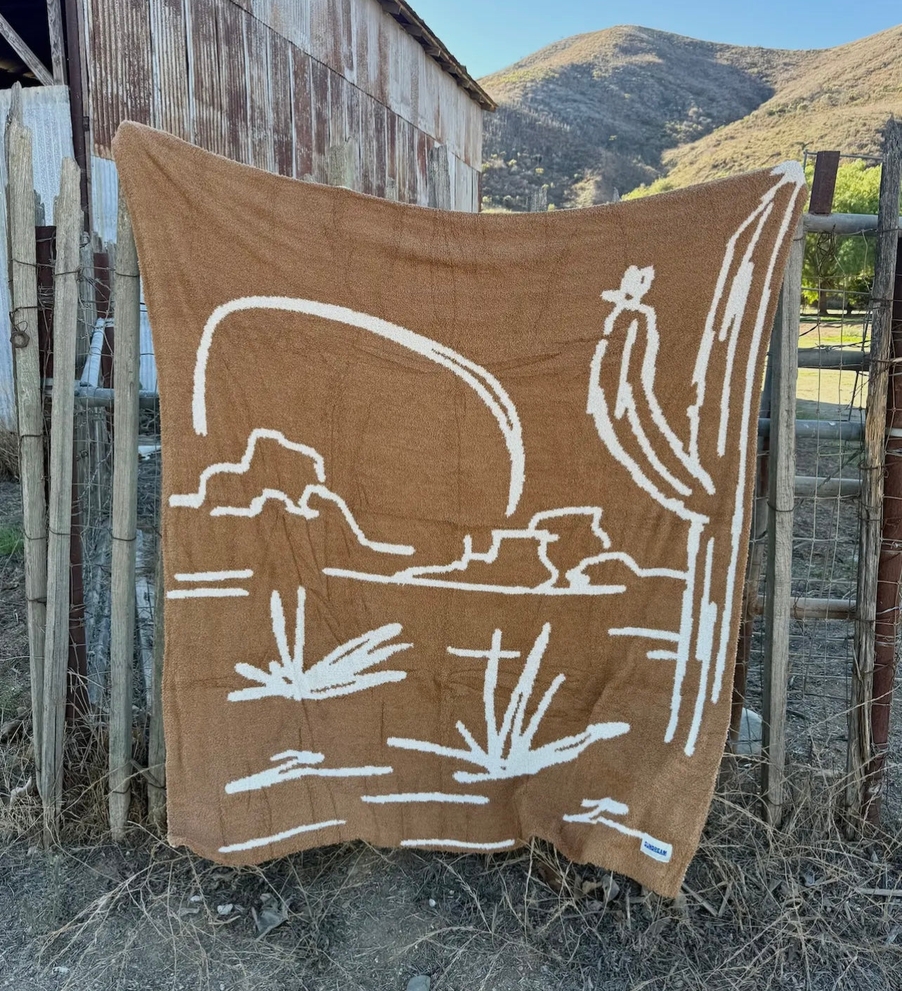 reversible desert blanket