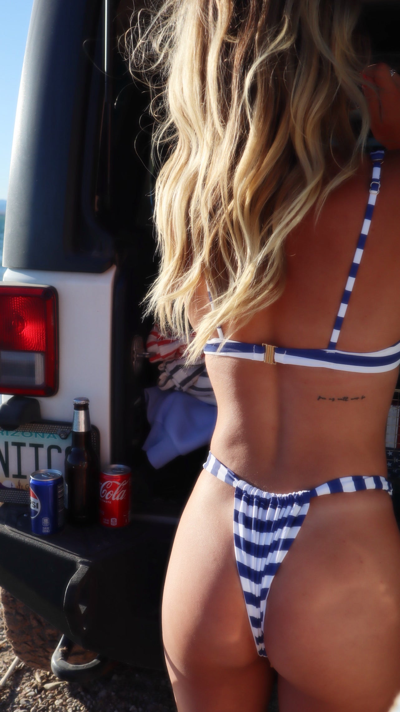 scottie bikini - stripes