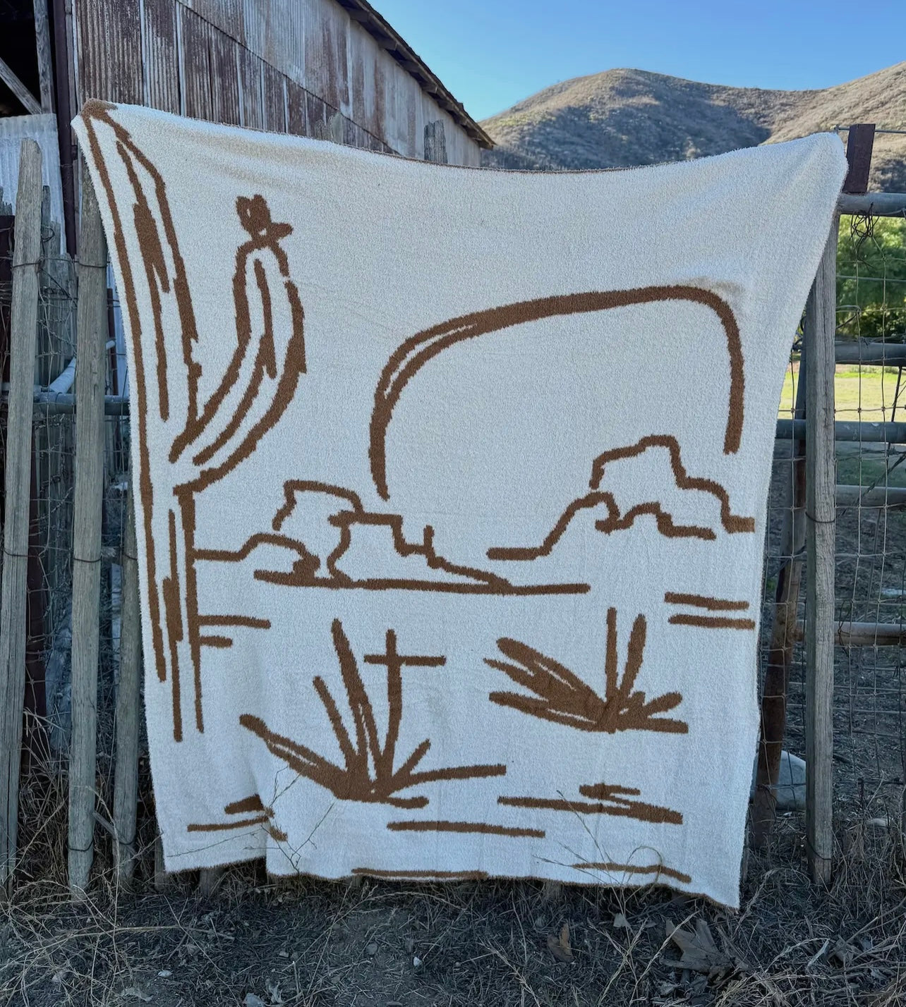 reversible desert blanket