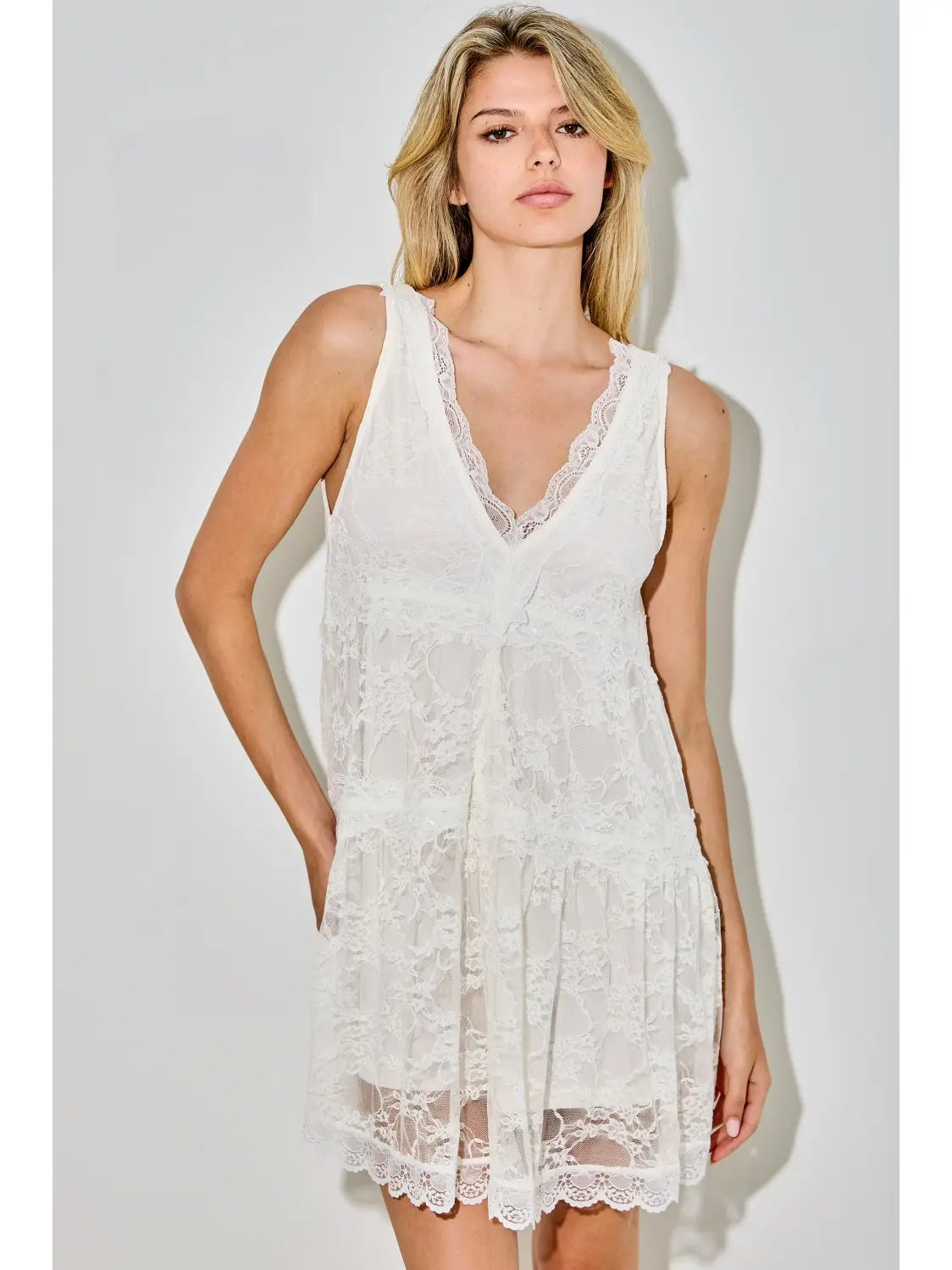 emlynn lace mini dress